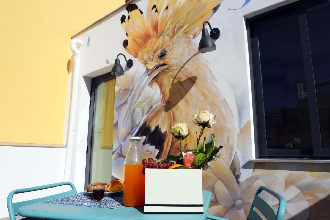 Studio Terrace