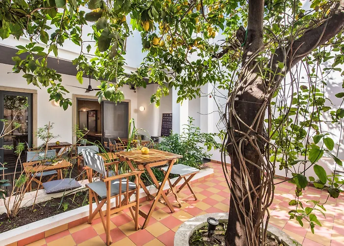 Lemon Tree Stay